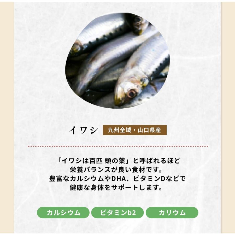 だし 無添加 無塩 介護食 離乳食 アミノ酸 おいしいだし 海のペプチド 300g×3袋セット | おいしいだし 海のペプチド | 05