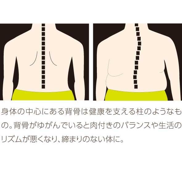 体歪み ストレッチ枕 姿勢 背中バランスダイエット 062 003 612 マイキーズ 通販 Yahoo ショッピング
