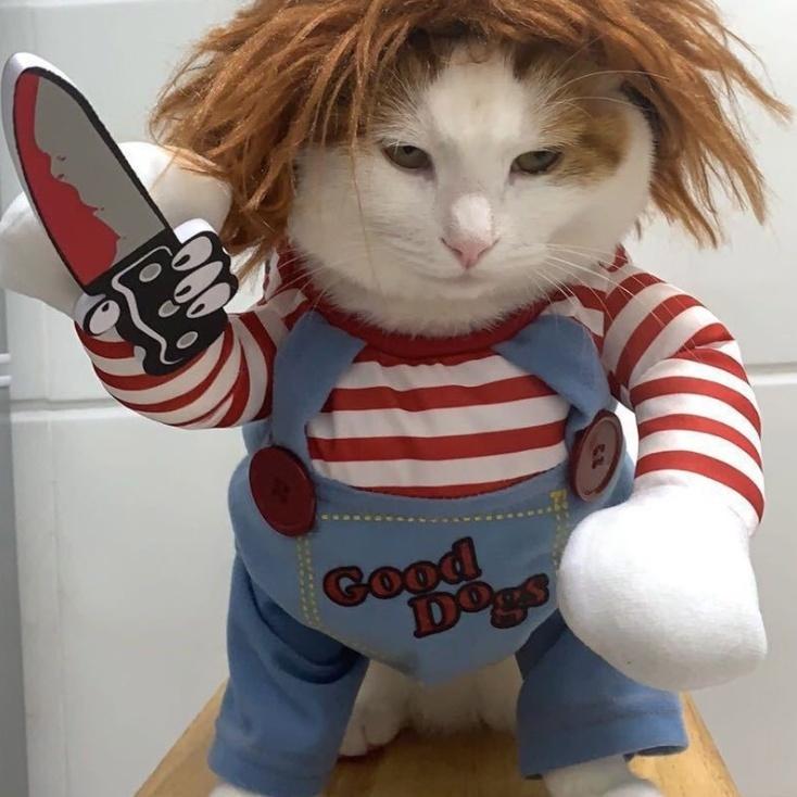 1枚入 ペット服 犬服 犬の服 ハロウィン クリスマス かわいい 面白い コスプレ 変装 犬 猫 チャッキー S M L Pet Chucky Item Shop 通販 Yahoo ショッピング