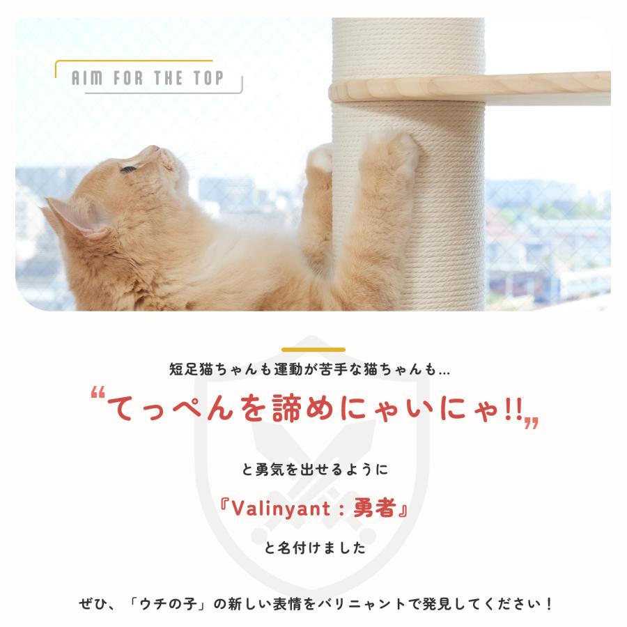 キャットタワー 突っ張り 木製 スリム おしゃれ 省スペース 短足猫 大型猫 シニア 猫タワー 多頭飼い SUMIKA バリニャント｜milano2｜09