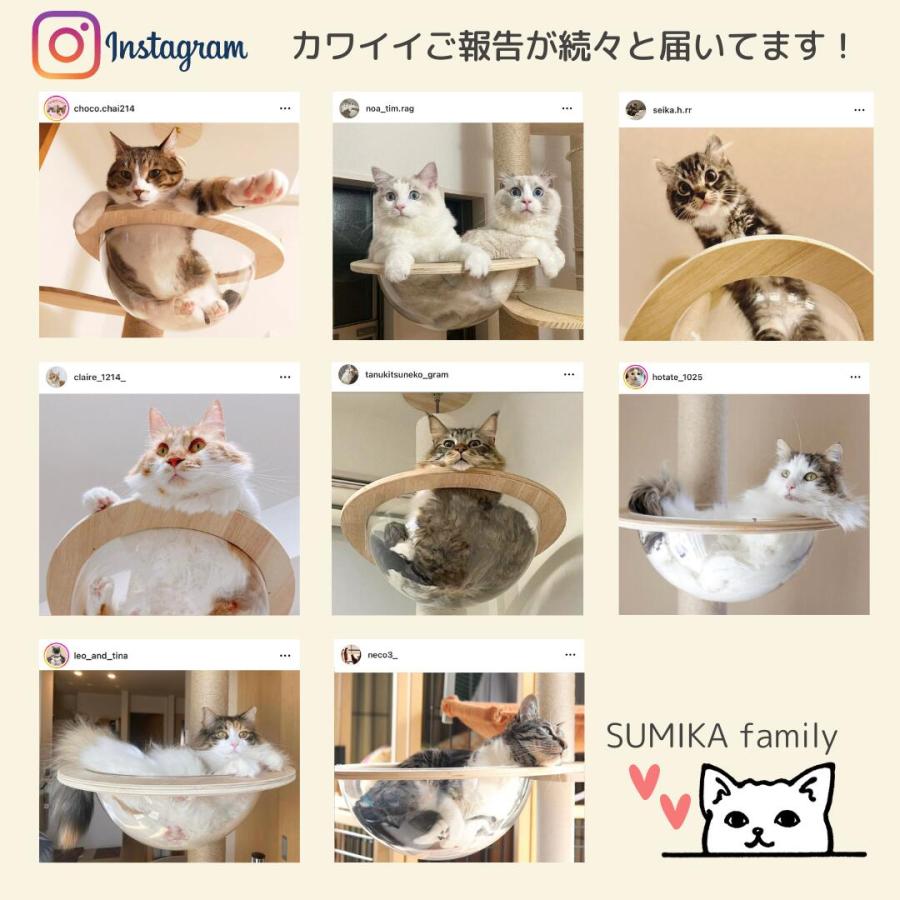 キャットタワー ベッド スケルトン 透明 ボウル 大きい ハンモック 猫 cat UFO SUMIKA 木製 キャットタワー専用 スケルトンラウンドベッド L ラージ｜milano2｜04