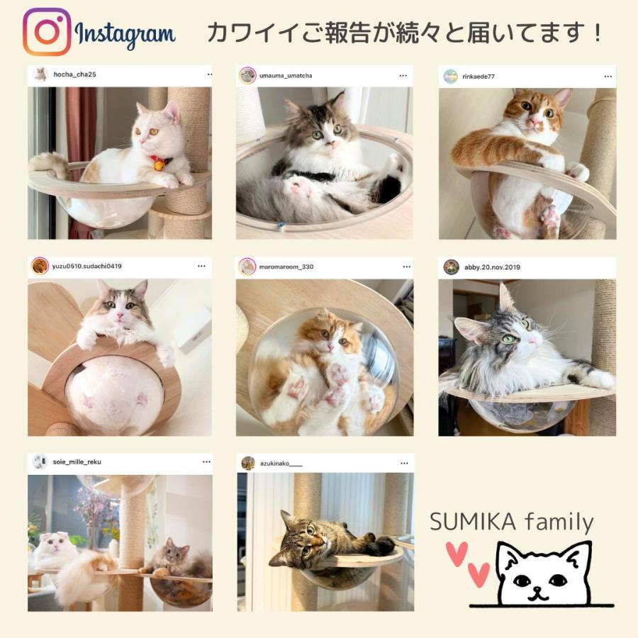 SUMIKA キャットタワー パーツ ベッド スケルトン 透明 ボウル SUMIKA キャットタワー パーツ ベッド スケルトン 透明 ボウル