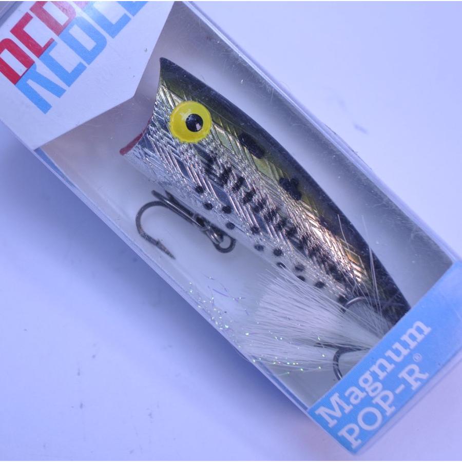 レーベル POP-R ポップR P60 アソートセット 楽天市場】【予約】3個セット【取寄せ商品】REBEL レーベル Pop