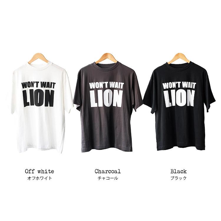 C876【即完売モデル】ディーゼル　ビッグロゴ　Tシャツ　半袖　M 美品 DIESEL SALE セール 半袖 Tシャツ メンズ レディース ディーゼル