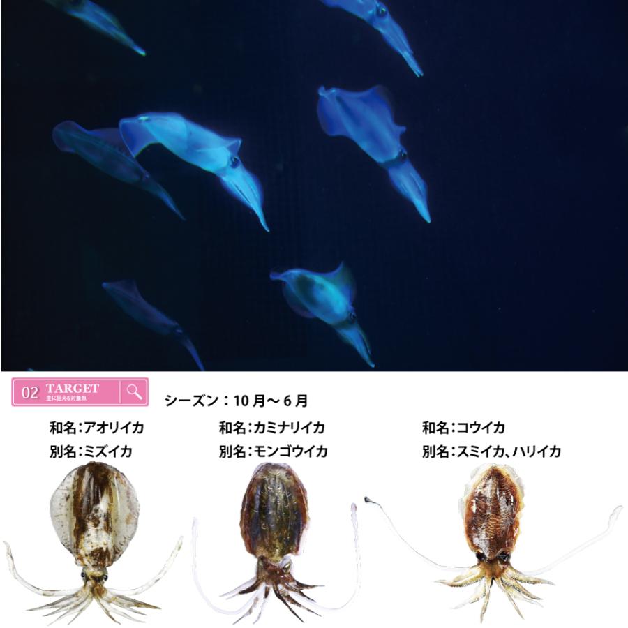 イカ　ダイワティップランエギ 10個セット　シンカー付き 4c85c234076325c638e2c305400f29