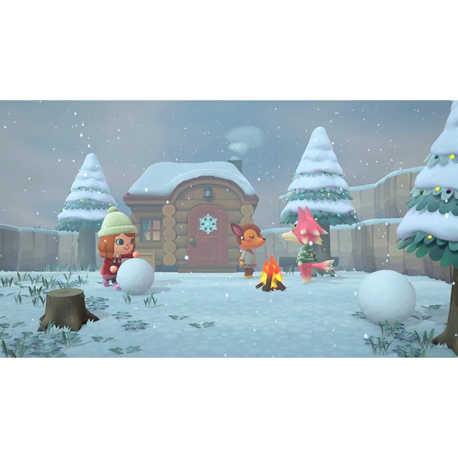 Nintendo Switch あつまれ どうぶつの森 ソフト パッケージ版