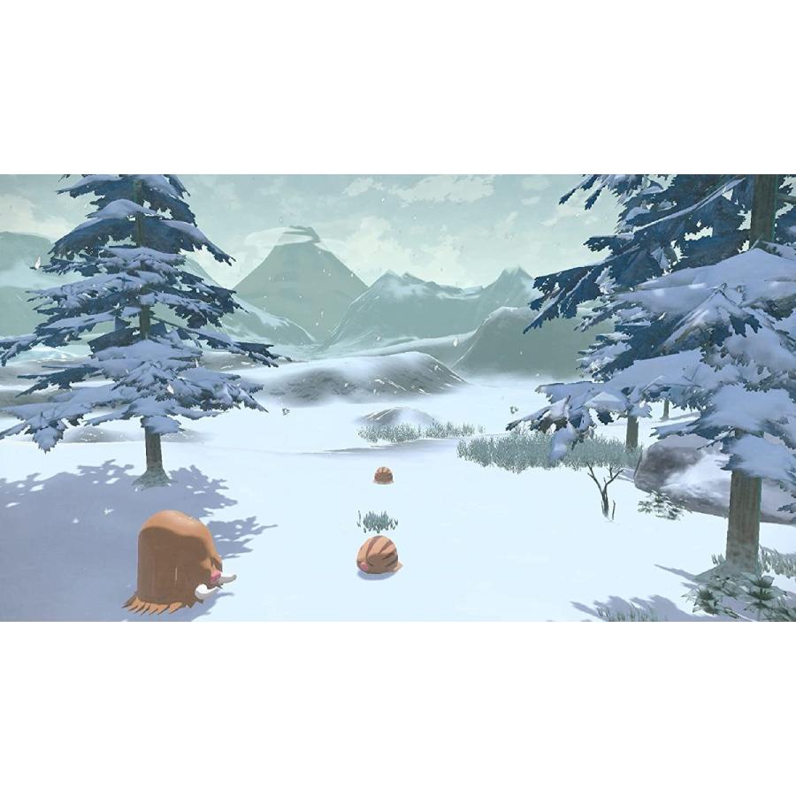 Nintendo Switch Pokemon LEGENDS アルセウス ポケモン レジェンズ
