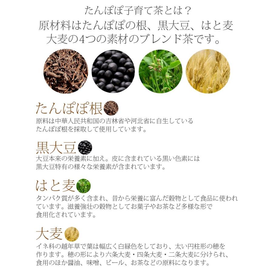 完売 国産たんぽぽブレンド茶 コーヒー風味 袋入 小川生薬 ノンカフェイン 母乳 妊娠 たんぽぽ茶 送料無料 沖縄 一部地域を除く Riosmauricio Com