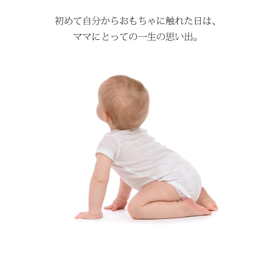 TOYS クーゲルターン セレクタ社 ドイツ製 0歳から遊べる 木製 0歳