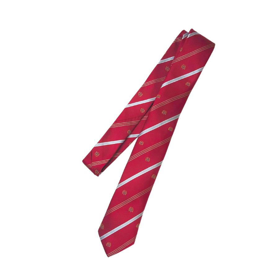 ウィッグ付き　ロシデレ　コスプレ衣装　Mサイズ　制服セット　ハロウィン　イベント Amazon.co.jp: ロシデレ アーリャ コスプレ 衣装 制服 ウィッグ