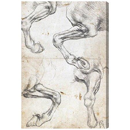 送料無料 オリバー ガル ダ ヴィンチ Ta 30 X キャンバスアート 馬のスタジオ ファブリックパネル Proksi Si