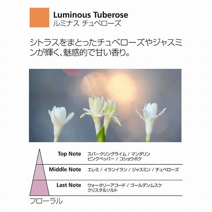 ディメーター アロマディフューザー ソルトエアー １着でも送料無料