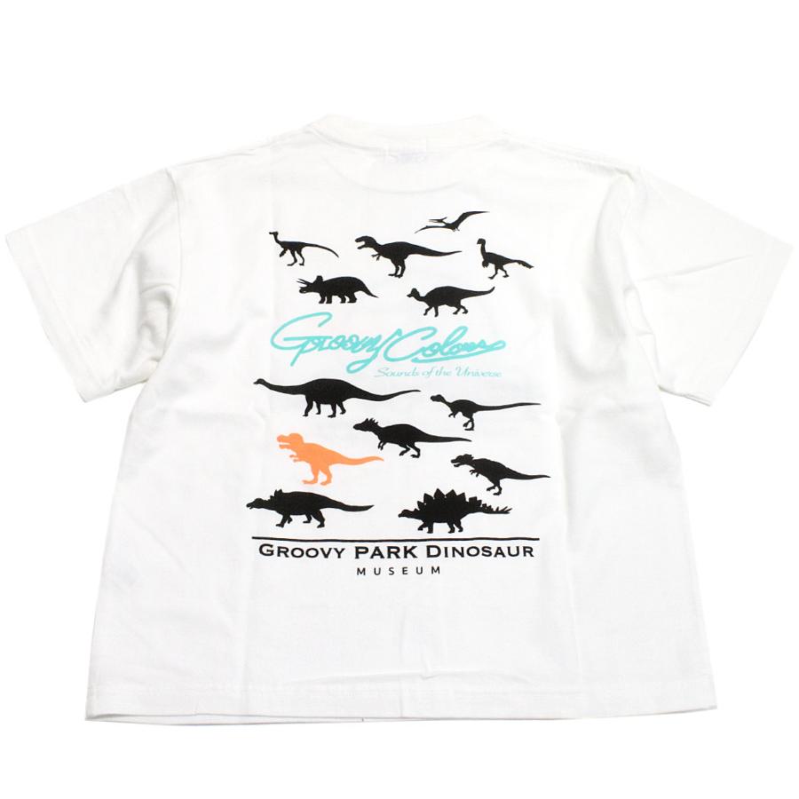 半袖Tシャツ "グルーヴィーカラーズ グルービーカラーズ" 子供服 テンジク DINOSAUR TEE 1W白｜millibar｜03