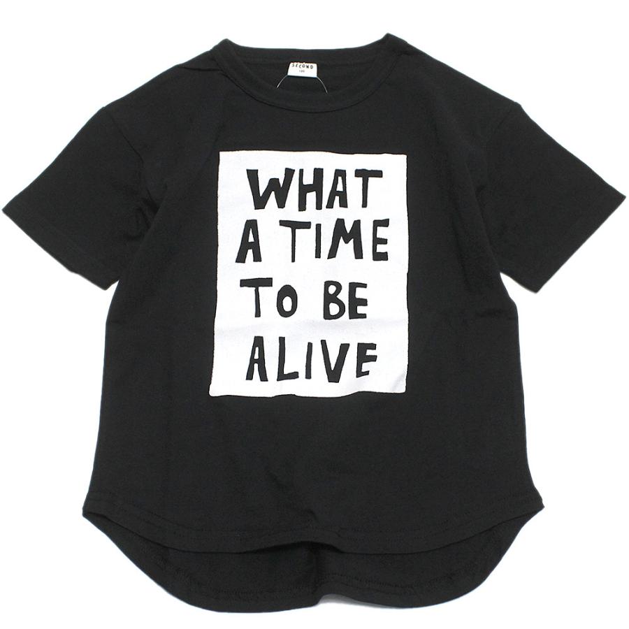 セール 「50%OFF」 半袖Tシャツ 