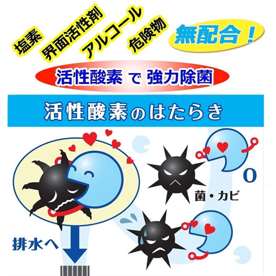 風呂釜 や 洗濯槽 洗いの 根こそぎ革命 業務用 カビ取り洗浄剤 ２個セット Www Arilab Com Tr Index Php