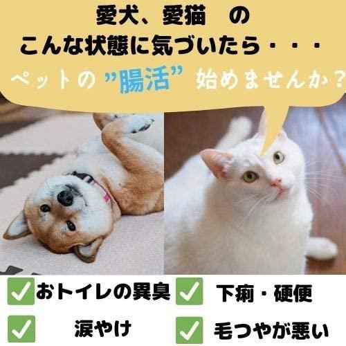 クロノーブ ペッツ 30g プロバイオティクスでペットの腸活を 愛犬 愛猫を自然な健康へサポート Million Got 通販 Yahoo ショッピング