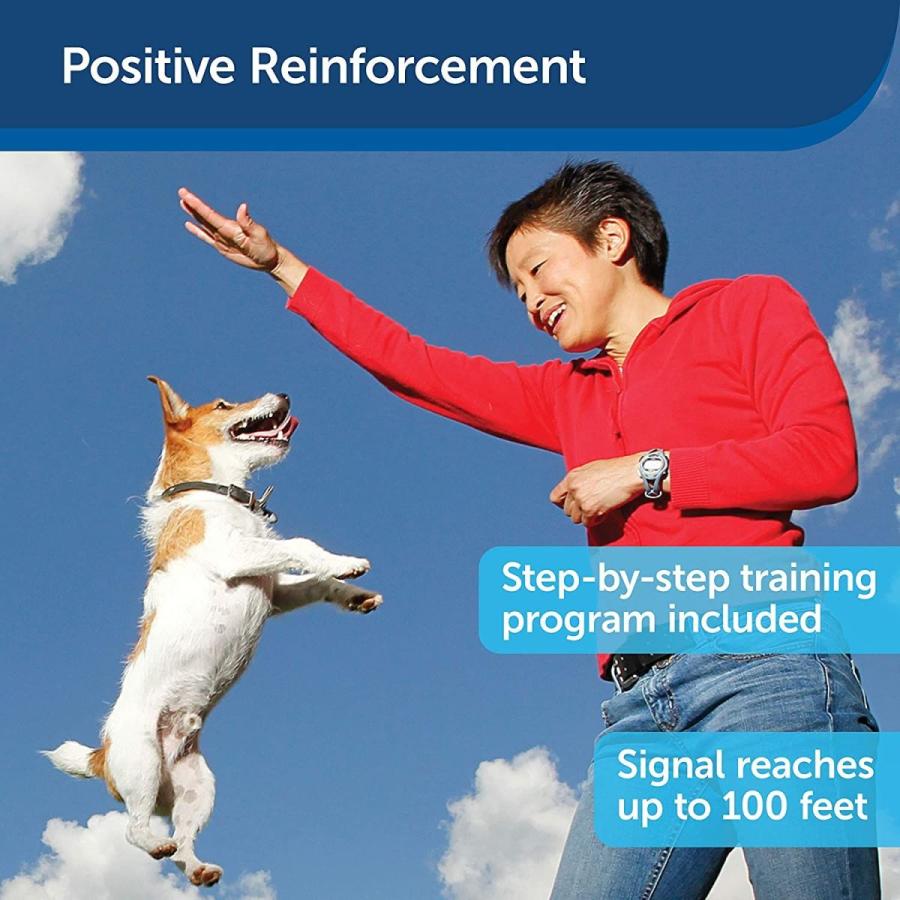 最新 Treat & Train Remote Reward Dog Trainer 【YW6518464327】(23295円)