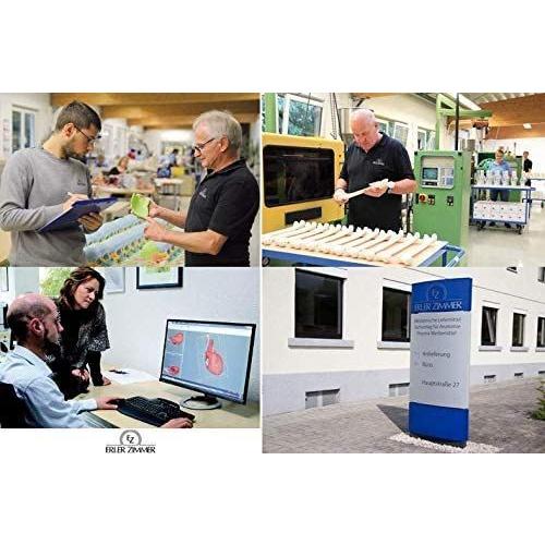 ローボード ERLER ZIMMER (エルラージマー社) 犬 骨格模型 標本 骨格 関節可動 実物大 獣医学 動物解剖 犬解剖 ドッグ モデル アニマ 【LWH1623410091】(58016円)