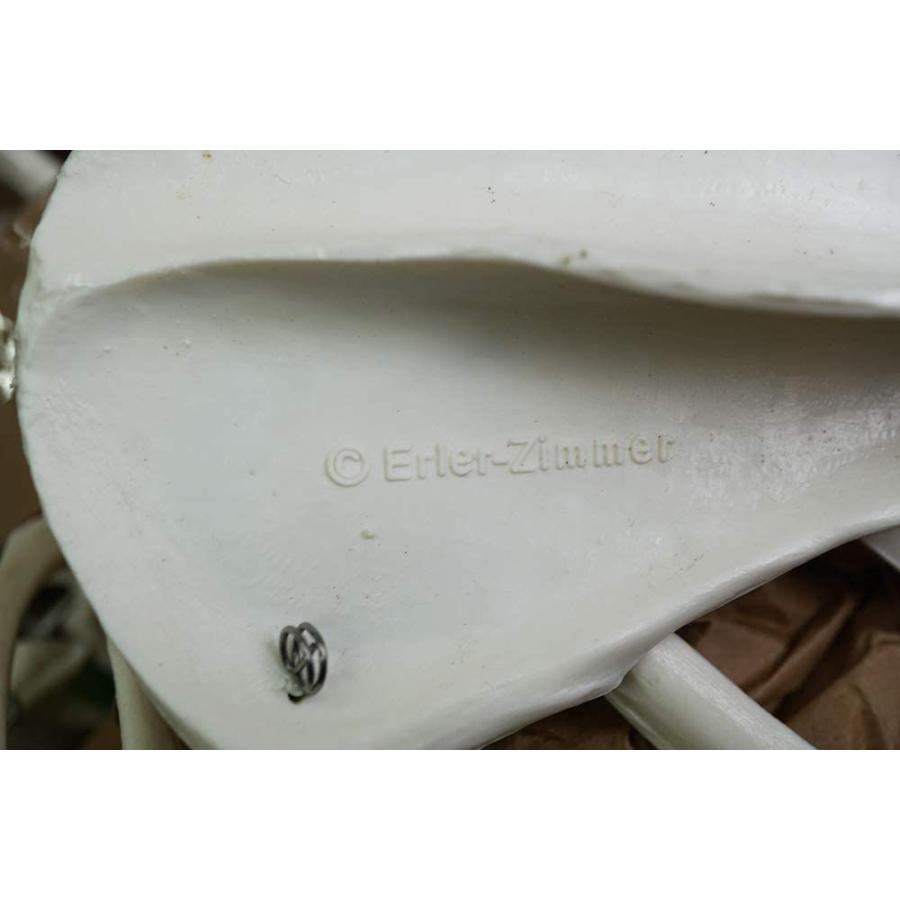 ローボード ERLER ZIMMER (エルラージマー社) 犬 骨格模型 標本 骨格 関節可動 実物大 獣医学 動物解剖 犬解剖 ドッグ モデル アニマ 【LWH1623410091】(58016円)