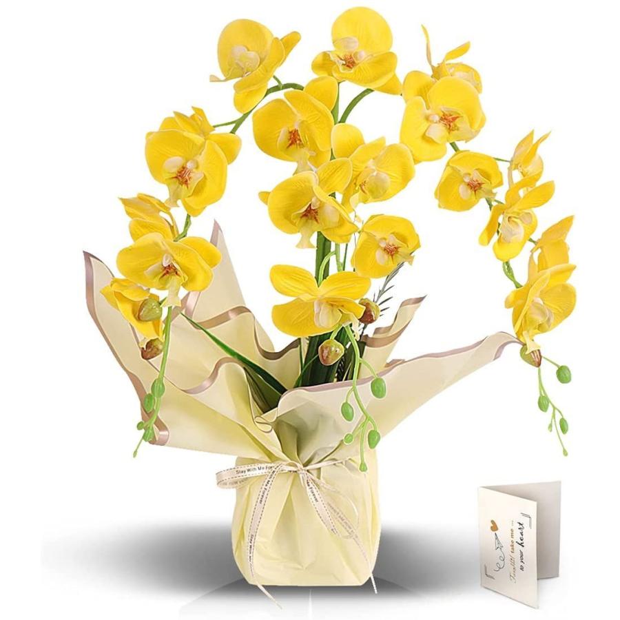 Fauhal 幸せが飛んでくる 蘭 造花 胡蝶蘭 Ct触媒加工 鉢植 お誕生日ギフトに最適 ご自宅用 お中元 三本立て 開店祝 花持ち抜群胡 激安格安割引情報満載