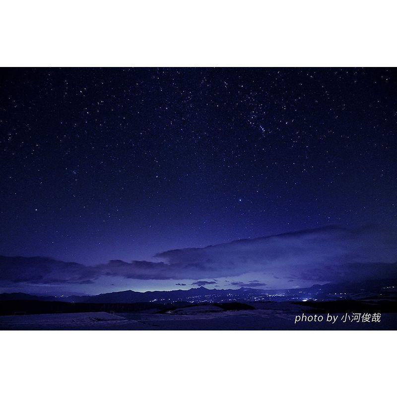 中古 Tokina 超広角ズームレンズ atx-i 11-16mm F2.8 CF ニコン F用 APS-Cフォーマット用 696958 【H1016364752】(36322円)