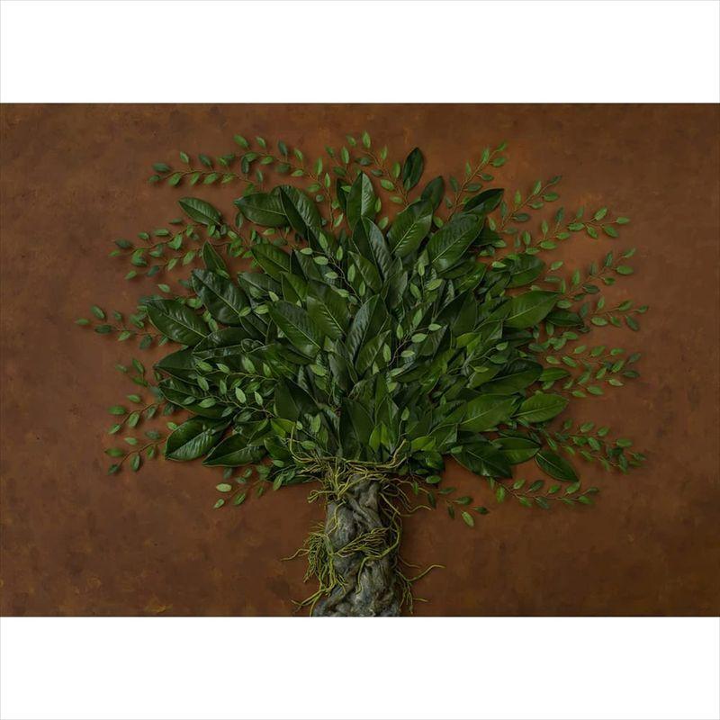 ニューボーンフォト 撮影用背景 写真スタジオ ベビー 新生児写真 装飾 デコレーション ツリー フラワー ツリー 赤ちゃん ビニール ポリエ カメラアクセサリー