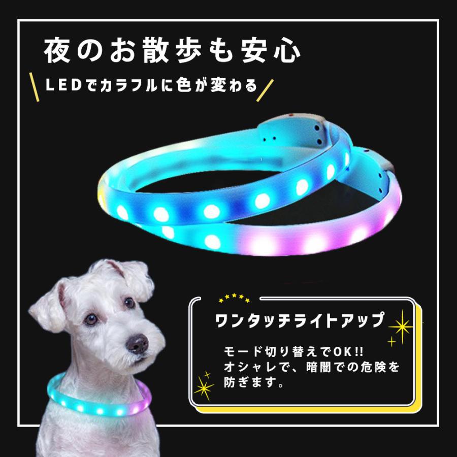 犬 光る首輪 小型犬 ペット首輪 LED 防水 サイズ調節可能 USB充電 4色