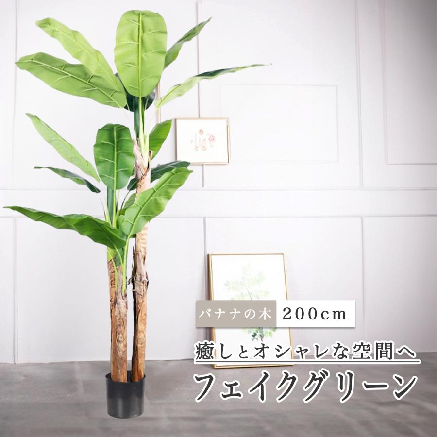 フェイクグリーン 観葉植物 リアル 人工観葉植物 高さ200cm バナナの木