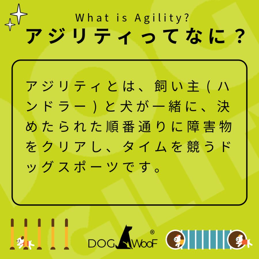 アジリティー 犬用 Aフレーム ドッグアジリティ 競技用 練習用 アルミ 全長 (5フィート 3m ）の画像