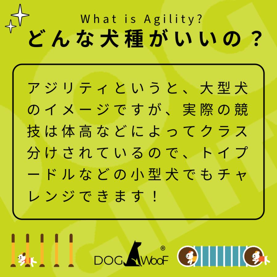 アジリティー 犬用 Aフレーム ドッグアジリティ 競技用 練習用 アルミ 全長 (5フィート 3m ）の画像