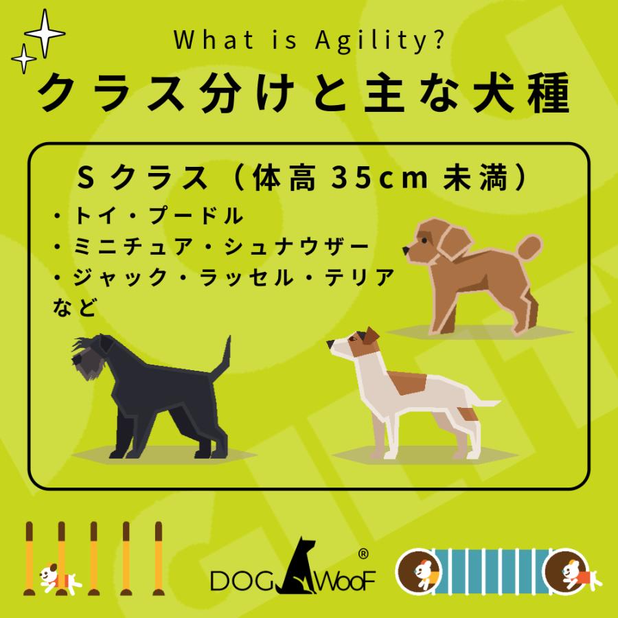 アジリティー 犬用 Aフレーム ドッグアジリティ 競技用 練習用 アルミ 全長 (5フィート 3m ）の画像