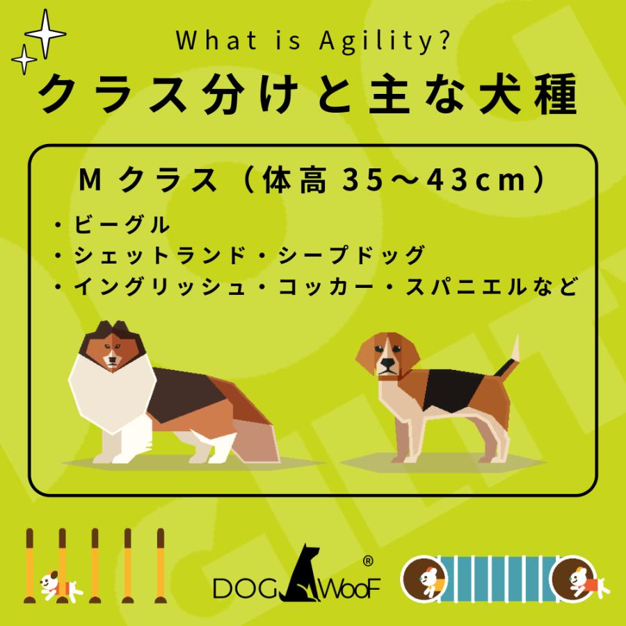 アジリティー 犬用 Aフレーム ドッグアジリティ 競技用 練習用 アルミ 全長 (5フィート 3m ）の画像