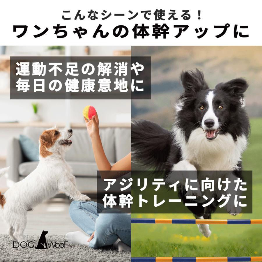 バランスディスク 犬 ペット ドッグバランスディスク リバーシブル