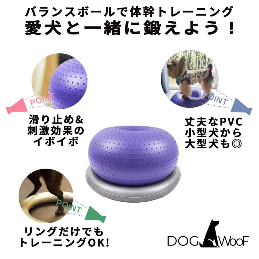 バランスボール 犬 ペット ベースリング付属 ドッグバランスボール