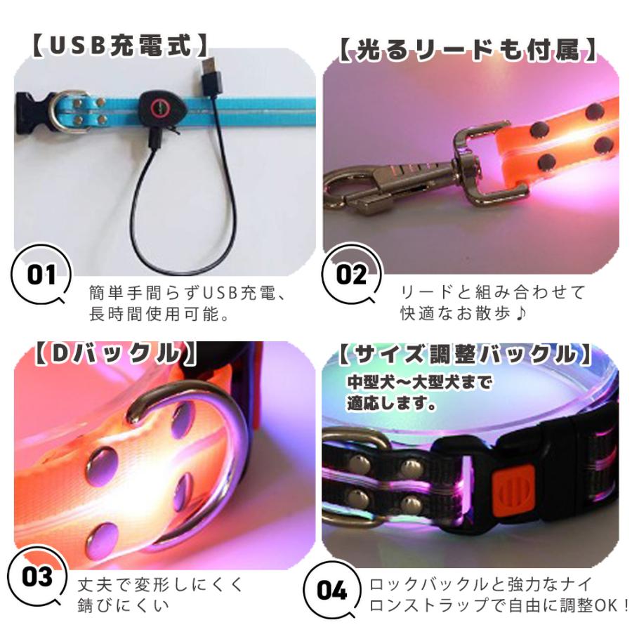 LED首輪リードセット 光る首輪 光るリード リード長さ120cm 首回り35