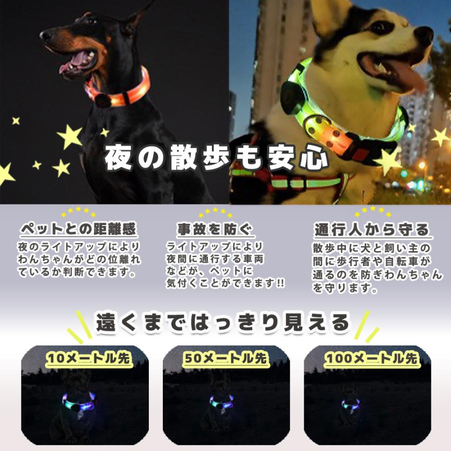 LED首輪リードセット 光る首輪 光るリード リード長さ120cm 首回り35