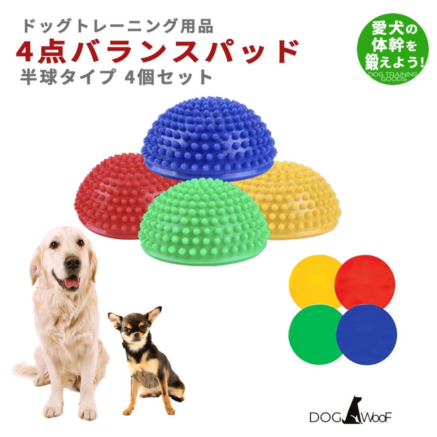 バランスボール 犬 ミニバランスボール 4個セット 小中大型犬 体幹