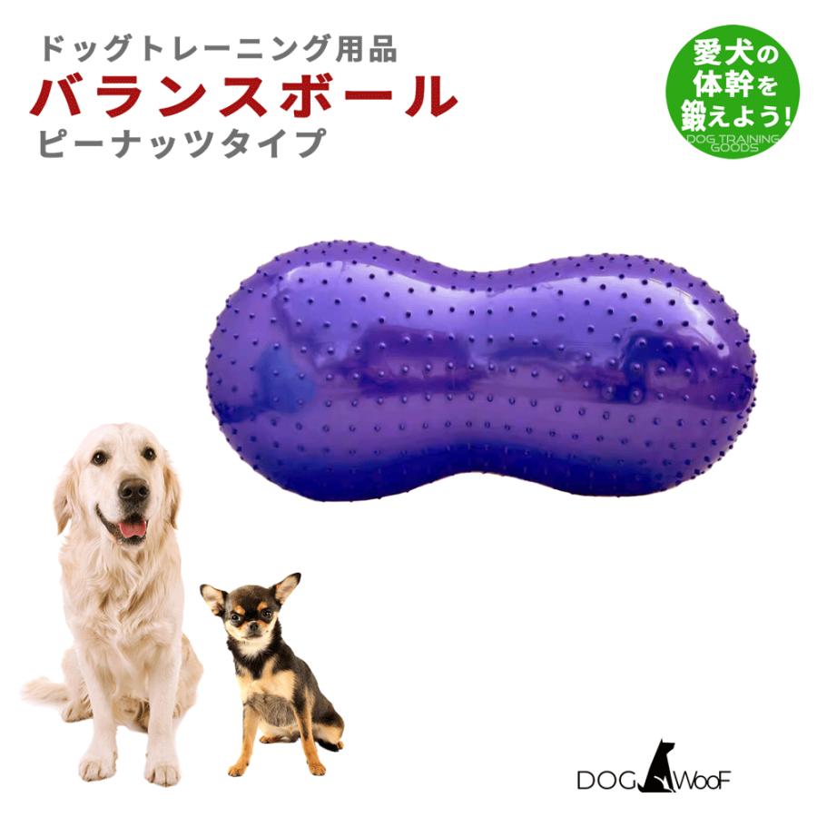 バランスボール 犬 ペット ピーナッツ型 ドッグバランスボール 小型犬
