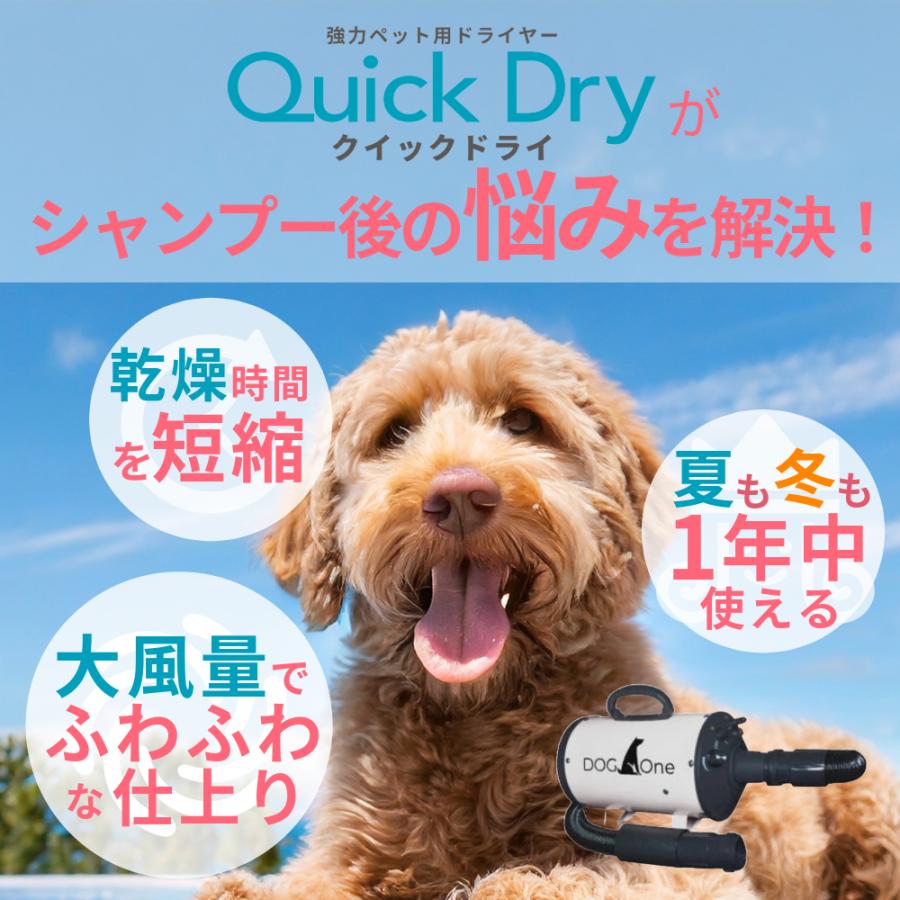 業務用 犬 ブロワー クイックドライ 大風量 温風 日本規格 PSE適合