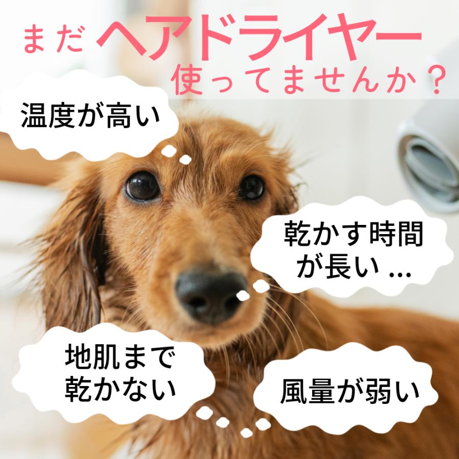 業務用 犬 ブロワー クイックドライ 大風量 温風 日本規格 PSE適合