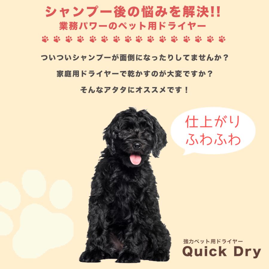 DOG One ペット用ドライヤー ブラック