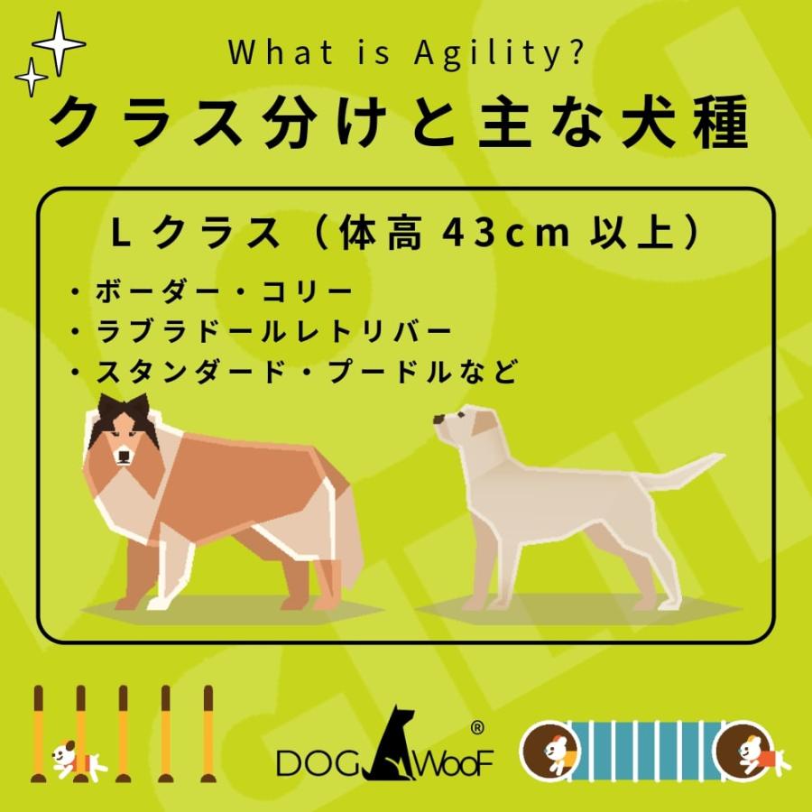 アジリティー 犬 ロングジャンプ アジリティ 練習用 アルミ製