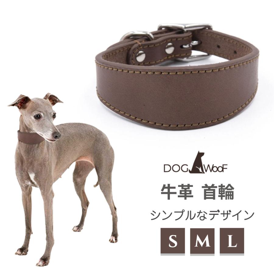 首輪 イタグレ ミニピン ウィペット サルーキ 専用首輪 長さ40cm 幅5cm