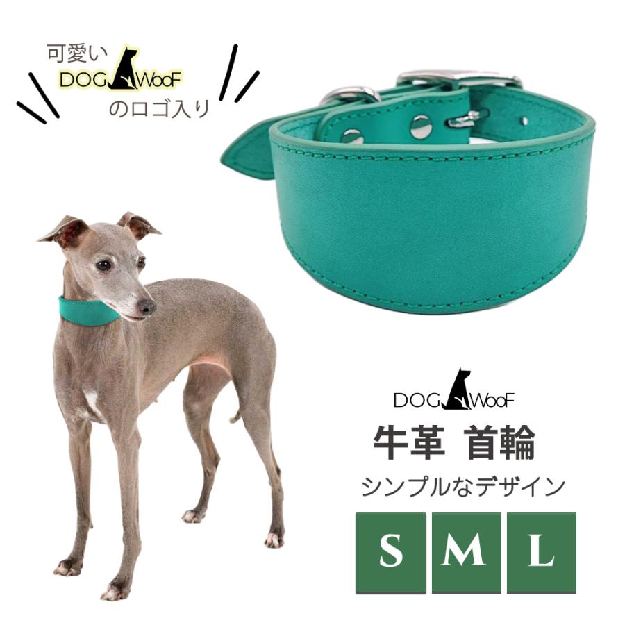 首輪 イタグレ ミニピン ウィペット サルーキ 専用首輪 長さ40cm 幅5cm