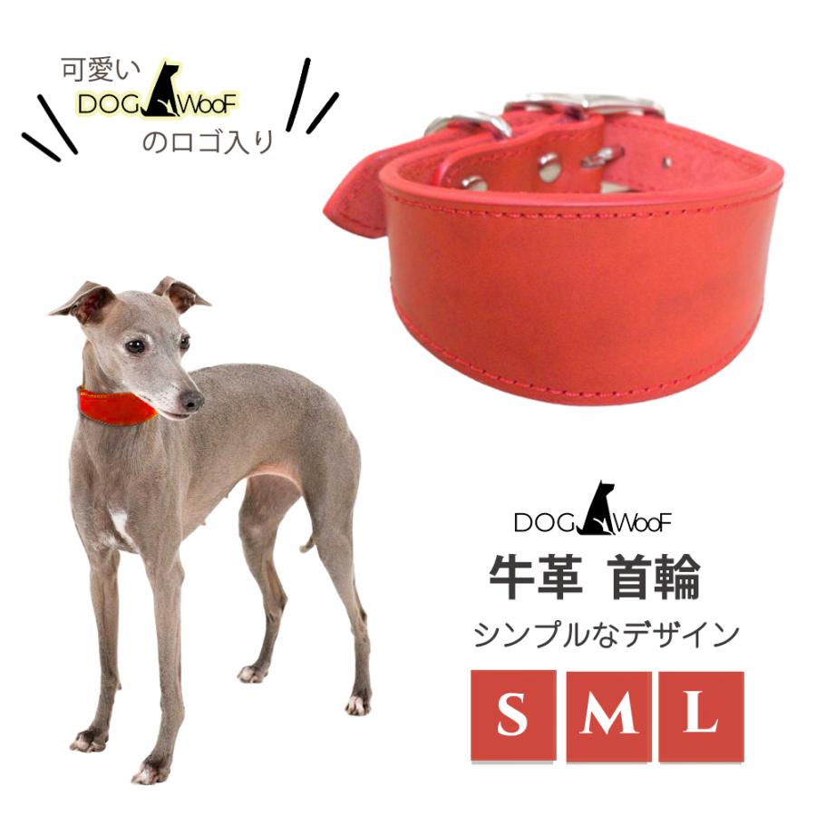 首輪 イタグレ ミニピン ウィペット サルーキ 専用首輪 長さ40cm 幅5cm