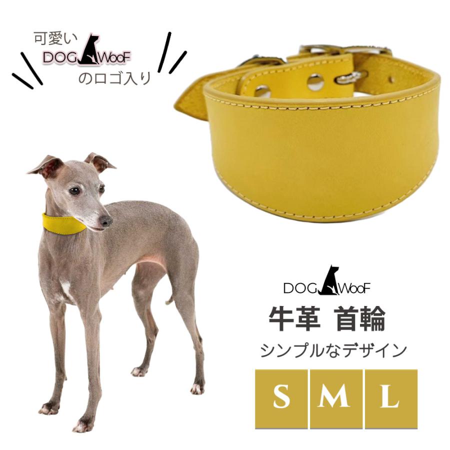 首輪 イタグレ ミニピン ウィペット サルーキ 専用首輪 長さ40cm 幅5cm