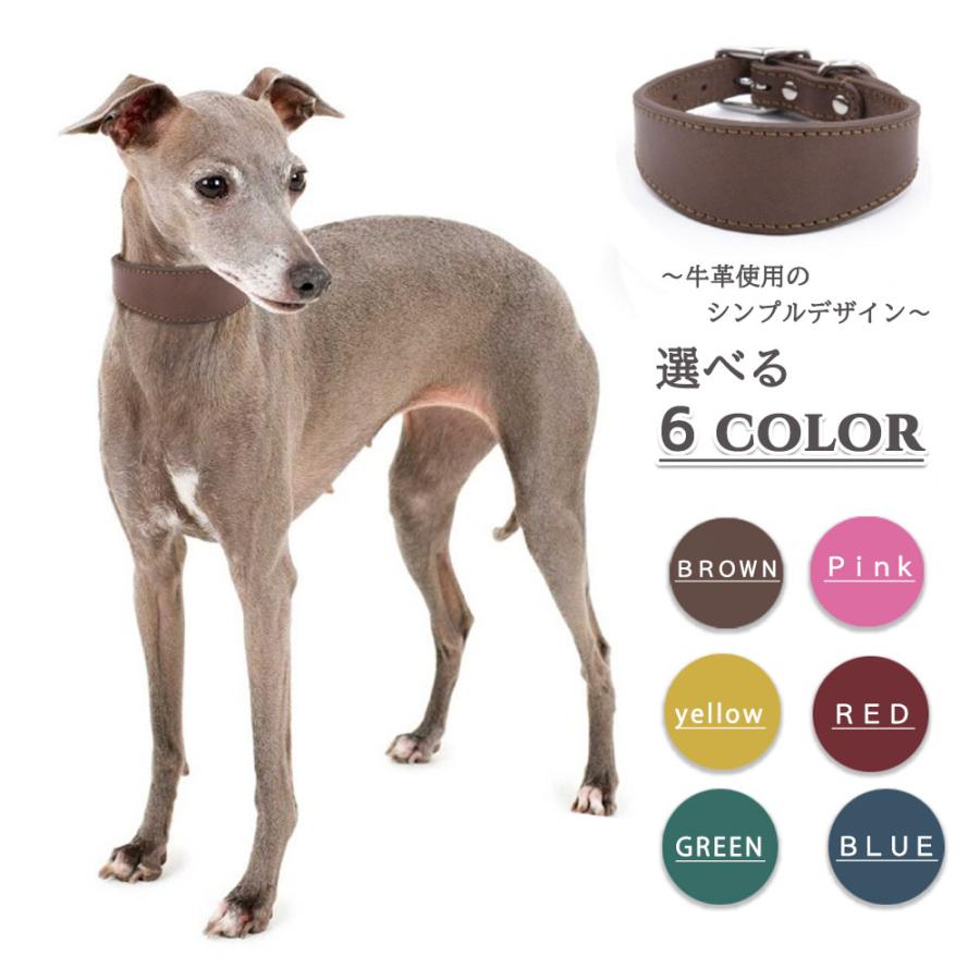 首輪 イタグレ ミニピン ウィペット サルーキ 専用首輪 長さ35cm 幅4cm