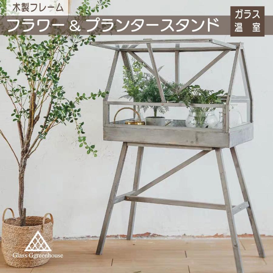 大型温室 観葉植物 プランター Esbtao Org