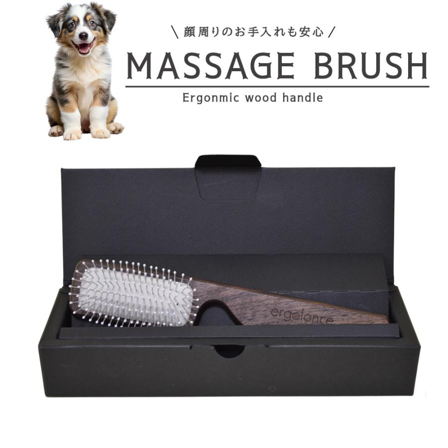 INO ergolance BIOGANCE マッサージブラシ 箱付き ドイツ製（フランス