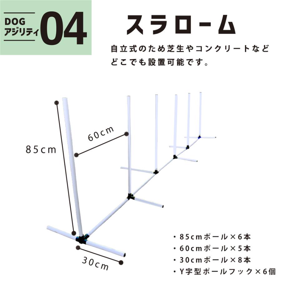 ドッグアジリティ トレーニング 5点セット 練習用 トンネル ジャンプ